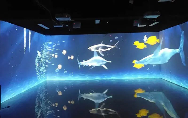 High Resolution LED Screen for Education & Museums