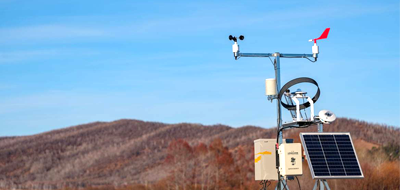 Environmental detection system