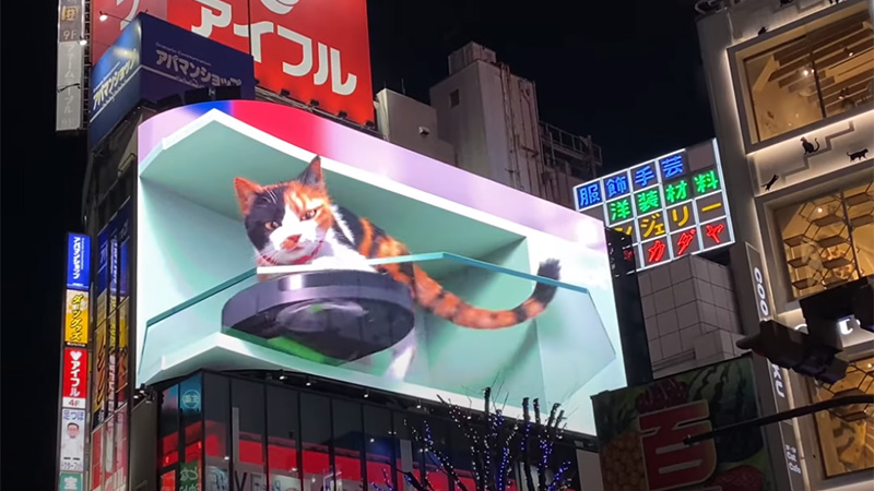 shinjuku-3D-cat