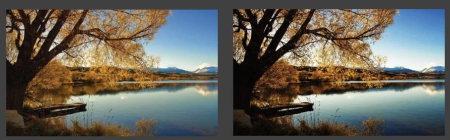 color reproduction