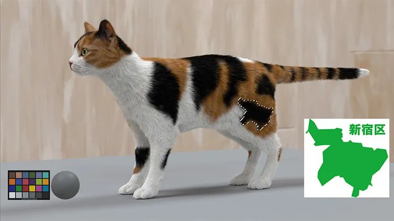 3D cat billboard
