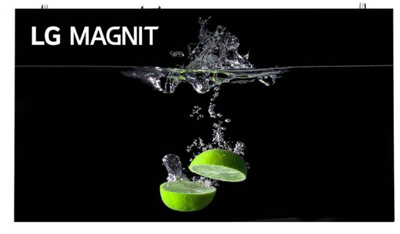 LG-MAGNT