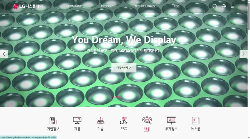 LG display